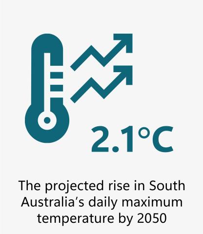 Climate change risk Audit snapshot - key facts - for website 2